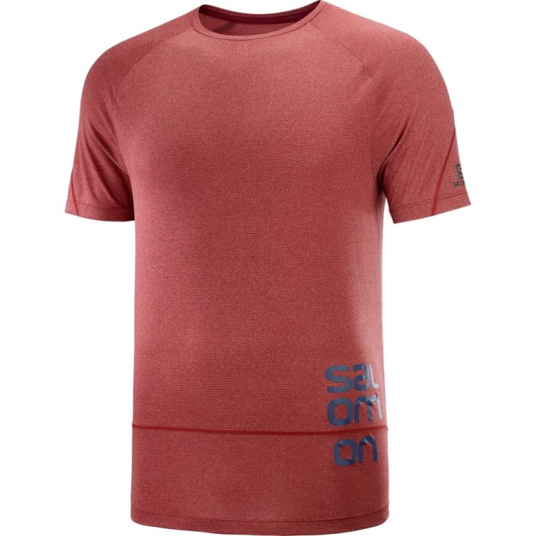 Camiseta Salomon Cross Run Gráficas Curta Sleeve Masculino Vermelhas Escuro | PT H40123